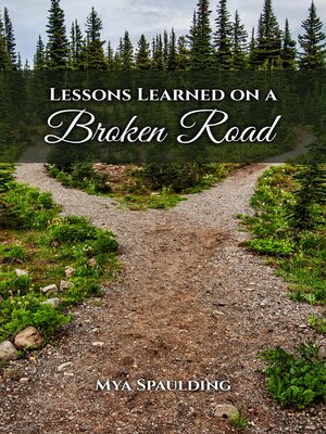 cover image of Lessons Learned on a Broken Road